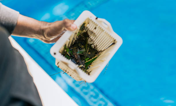 Best Estate Cleanout Services  in Redondo Beach, CA